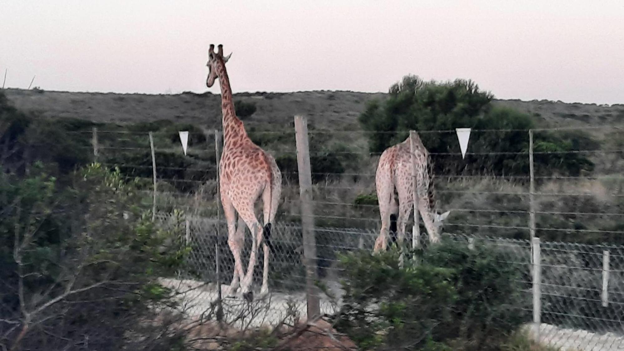 Willa Ons Fontein Langebaan Zewnętrze zdjęcie